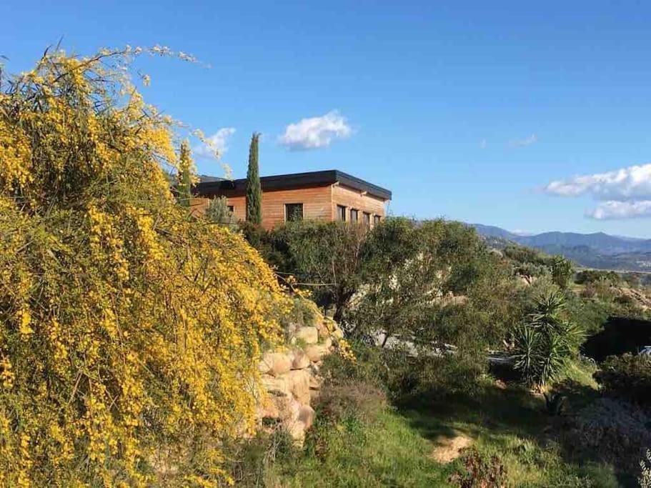 Casa Turrigiani Villa Sagone  Exterior photo